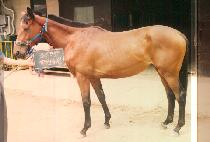 �ػ���� (HAE SANG GONG WON) ����