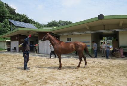 ���ǻ긮Ű ����