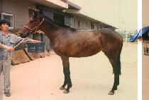 û�� (CHEONG SOON) ����