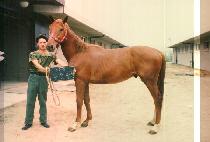 �������� (BU JEON JA JEON) ����