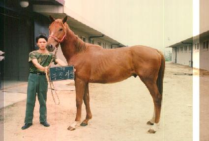 �������� ����