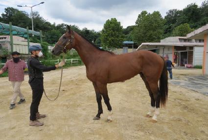 ����� ����