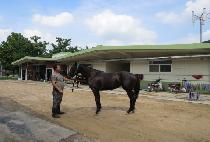 �ö��׿�ũ�� (FLYING OAKS) ����