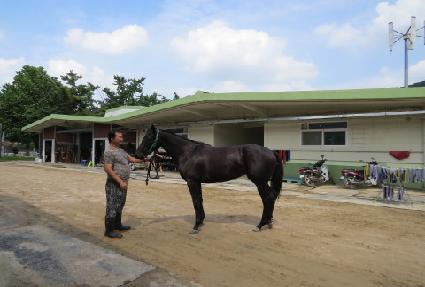 �ö��׿�ũ�� ����