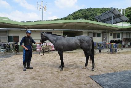 ����Ŭ���Ŀ� ����