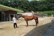 ��ī�׸�ġ (OKANEMOCHI) ����