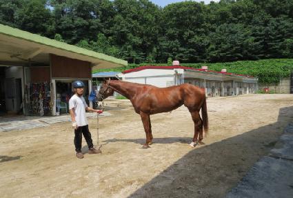 ��ī�׸�ġ ����