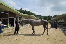 �۷ι�Ʈ���� (GLOBAL TREASURE) ����