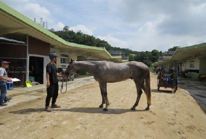 �۷ι�Ʈ���� ����