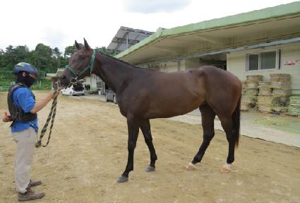 �����ǿ��� ����