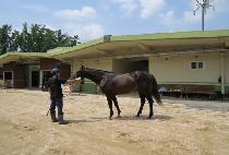 �����ۿ��� (HYPER EX) ����