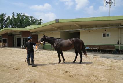 �����ۿ��� ����