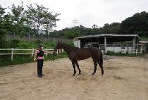 �����ҳ� (SATANG SONYEO) ����