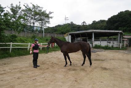 �����ҳ� ����