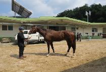 �ε��޻� (INDIAN MESA) ����