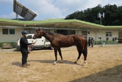 �ε��޻� ����