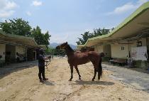 �ٴ��̾� (HAEK DIA) ����