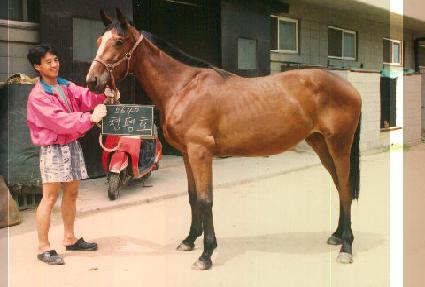 û��ȣ ����