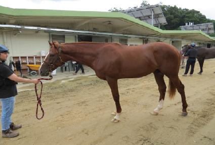 ���ְ� ����