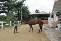 ���è�� (YONGBI CHAMP) ����