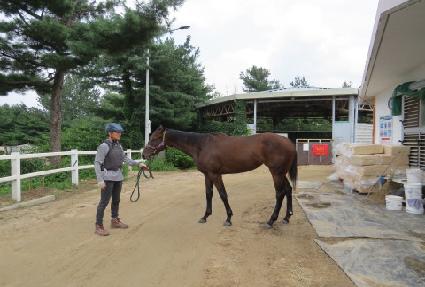 ���è�� ����