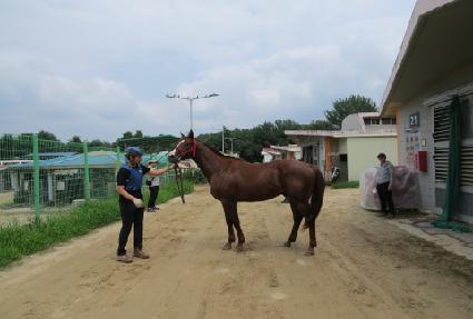 ĭ��׷���Ʈ ����