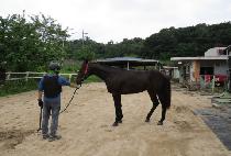 ��������Ʈ (M G BEST) ����