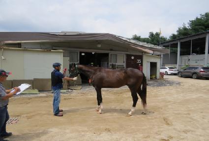 ����ê ����