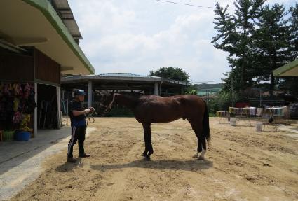 ��ĳó ����