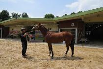 žƼ�� (TAP TIER) ����