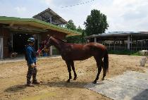 ��Ʈĳó (ART CATCHER) ����