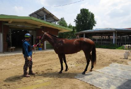 ��Ʈĳó ����