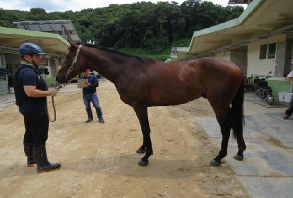 ���� ����