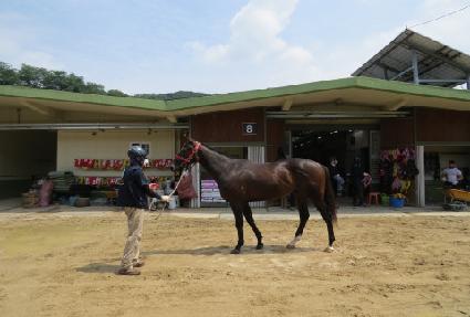 �����Ƽ ����