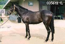 ���ּ� (JOOK JU SEONG) ����