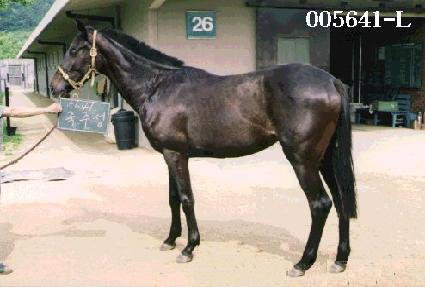 ���ּ� ����