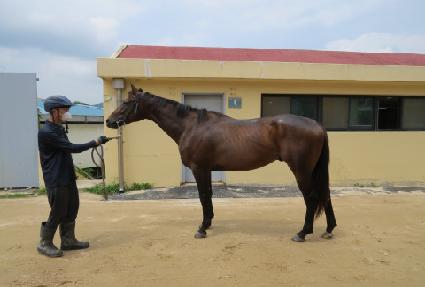 ����ĭ ����