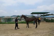 ��ũ���轺 (SECRET SOCKS) ����