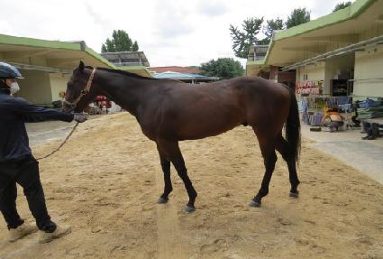 �����ۼ��� ����