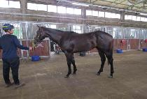 �������ļ��� (WHIZ IMPOSSIBLE) ����