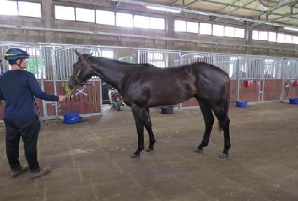 �������ļ��� ����