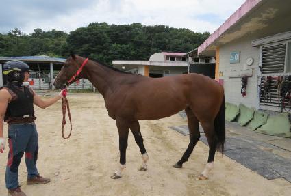 ����Ͻ� ����