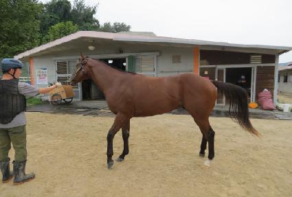 �����������̾� ����