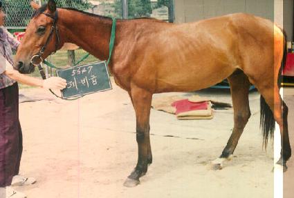 ���� ����