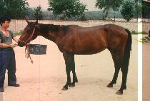 ���ڷ��� (JEON JA LAND) ����