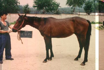 ���ڷ��� ����