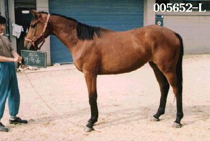 ����� ����