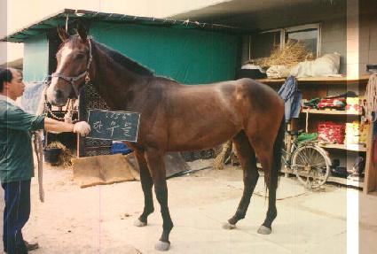 �ѿ칰 ����