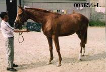 A HEUN A HOP KAN picture