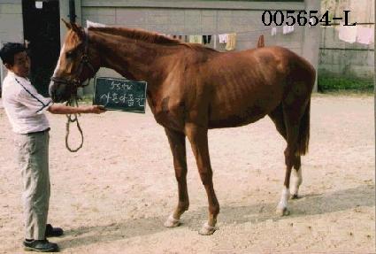 �����ȩĭ ����